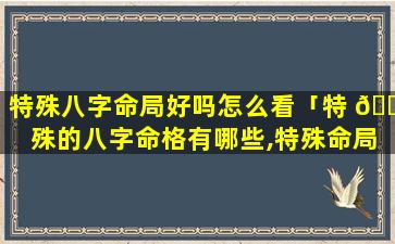 特殊八字命局好吗怎么看「特 🐴 殊的八字命格有哪些,特殊命局好还是不好」